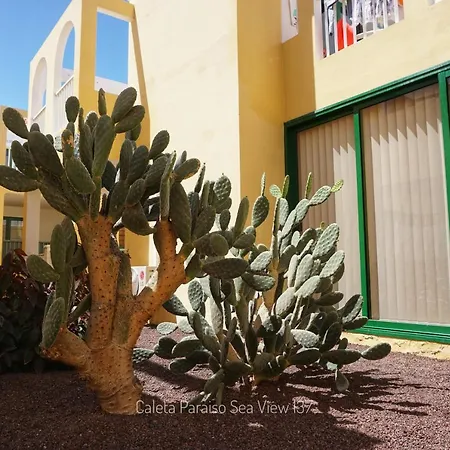 Caleta Paraiso Sea View 137 شقة