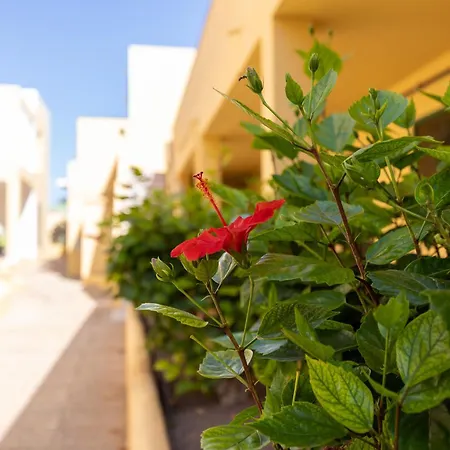 Caleta Paraiso Sea View 137 شقة كوستا دي أنتيجوا