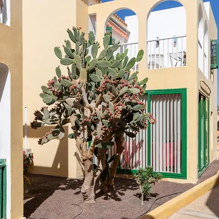 شقة Caleta Paraiso Sea View 137