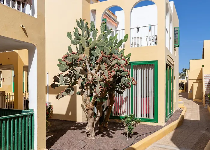 Апартаменты Caleta Paraiso Sea View 137